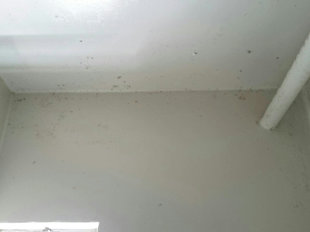 カビや水垢で汚れた浴室の天井