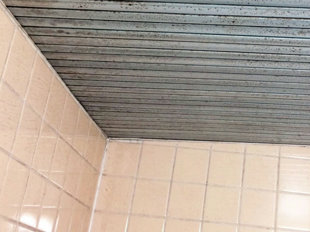 カビや水垢で汚れた浴室の天井と壁